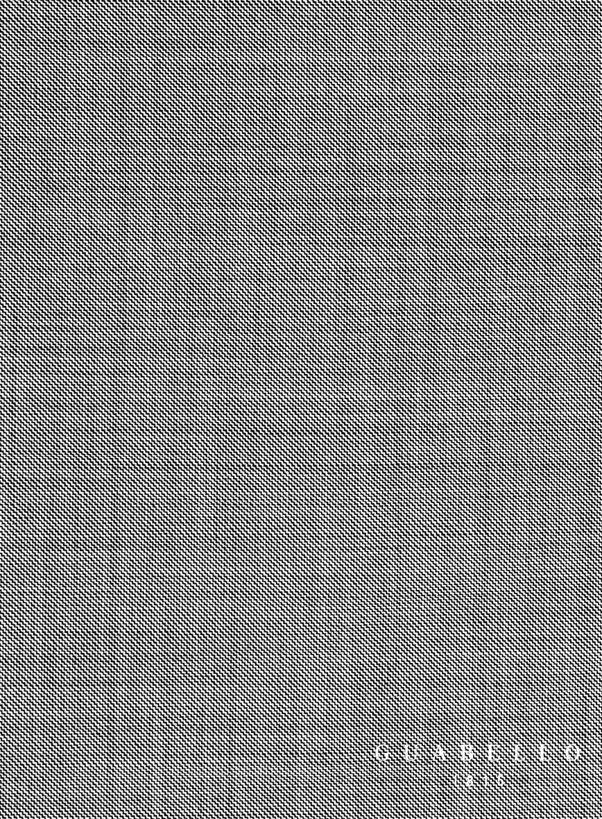 Guabello Light Gray Sharkskin Jacket - Image 4