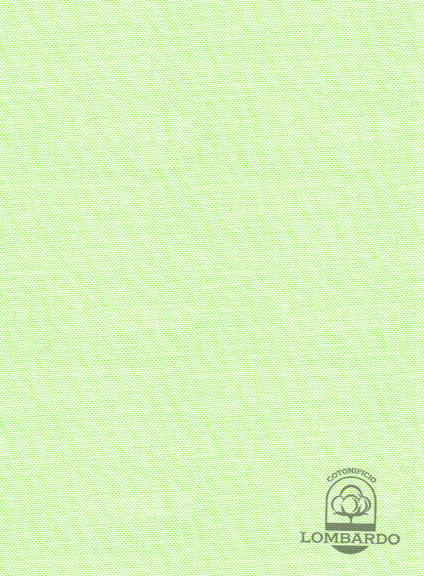 Italian Lombardo Mint Green Shirt - Image 3