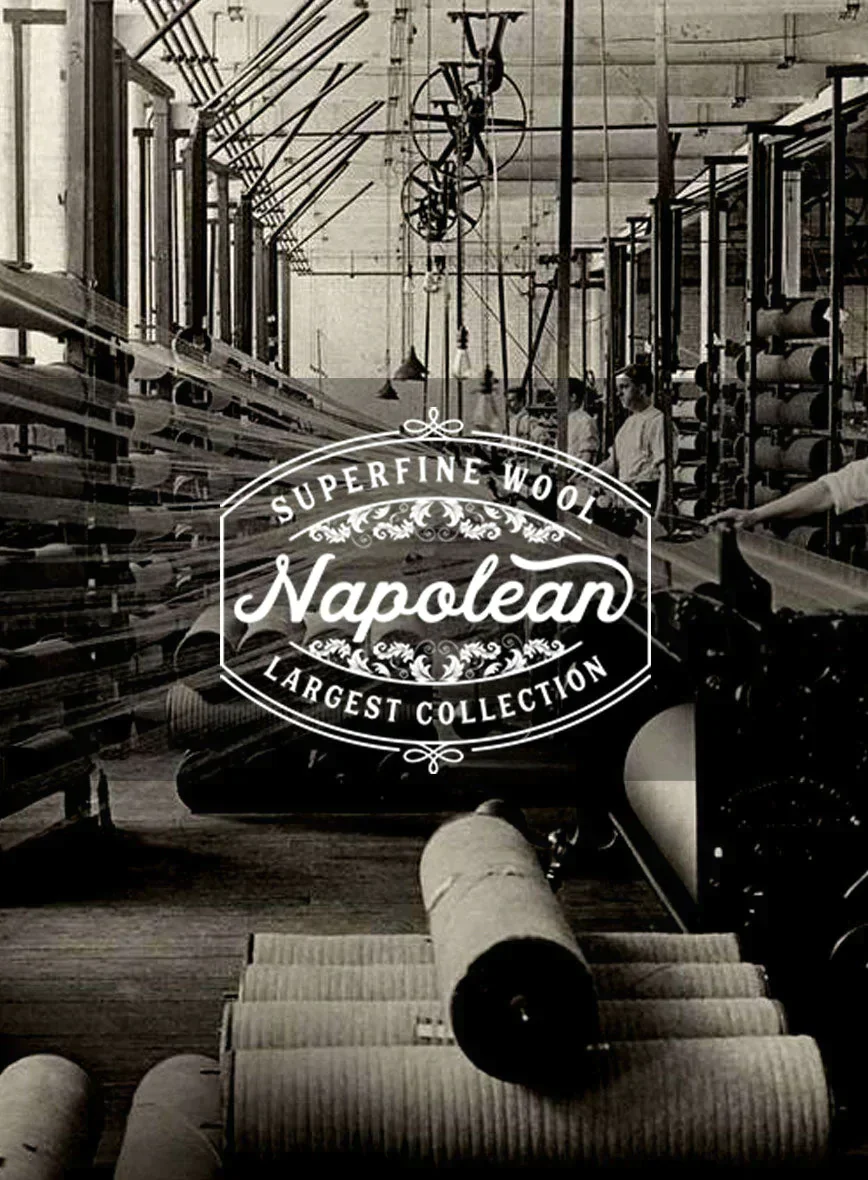 Napolean Classic English Blue Check Pants - Image 4