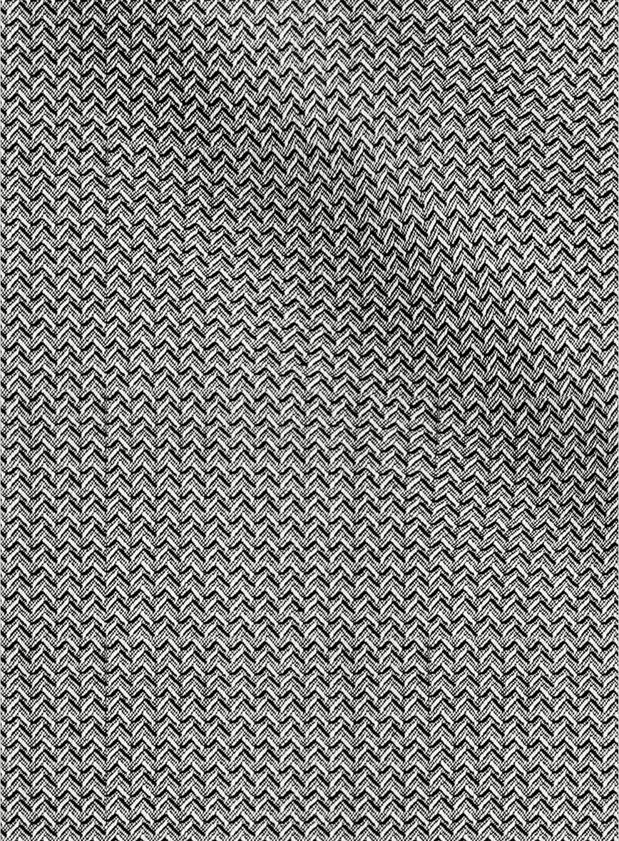 Napolean Dalmoro Chevron Weave Black And White Wool Jacket - Image 3