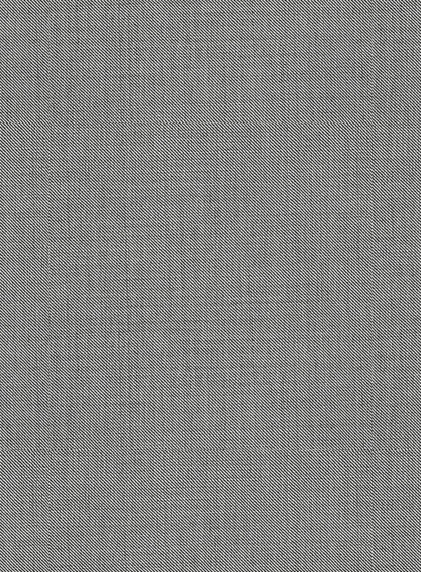 Sharkskin Light Gray Wool Pants - Image 2